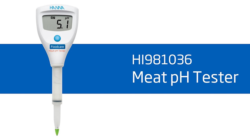 HANNA HI 981036 Et pH Metresi