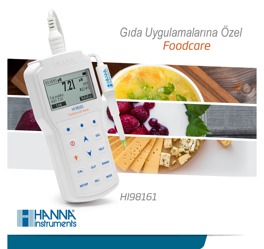 HANNA HI98161 Gıda pH Metresi