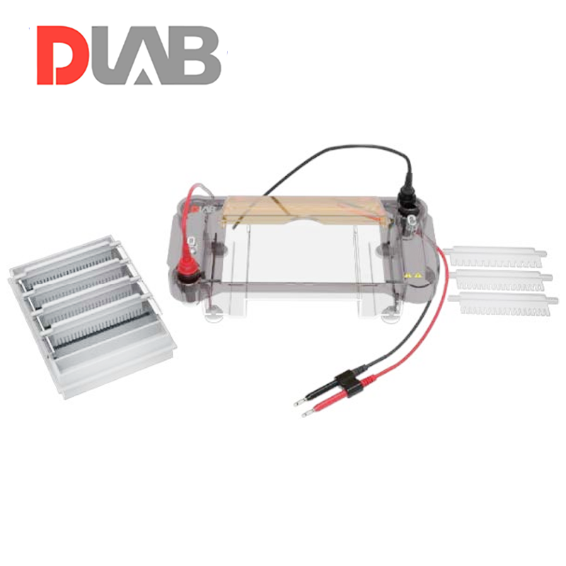 DLAB |DL-SUB03 Çok Fonksiyonlu Yatay Elektroforez Tankı