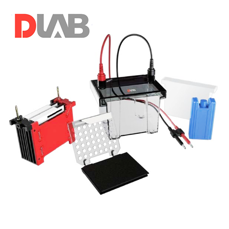 DLAB | DL-ZY02 Transfer Elektroforez Tankı