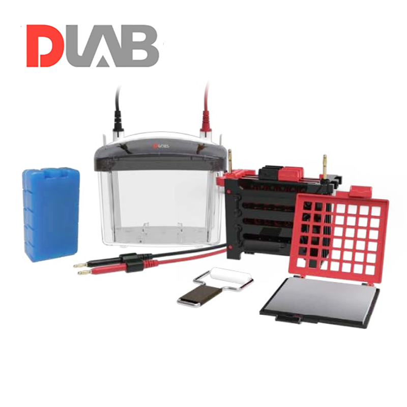 DLAB | DL-ZY04 Transfer Elektroforez Tankı