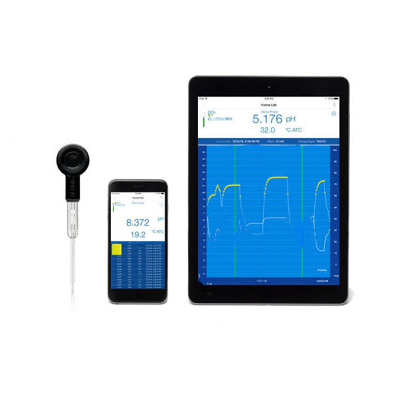 HANNA | HI10832 Halo® Wireless pH Meter