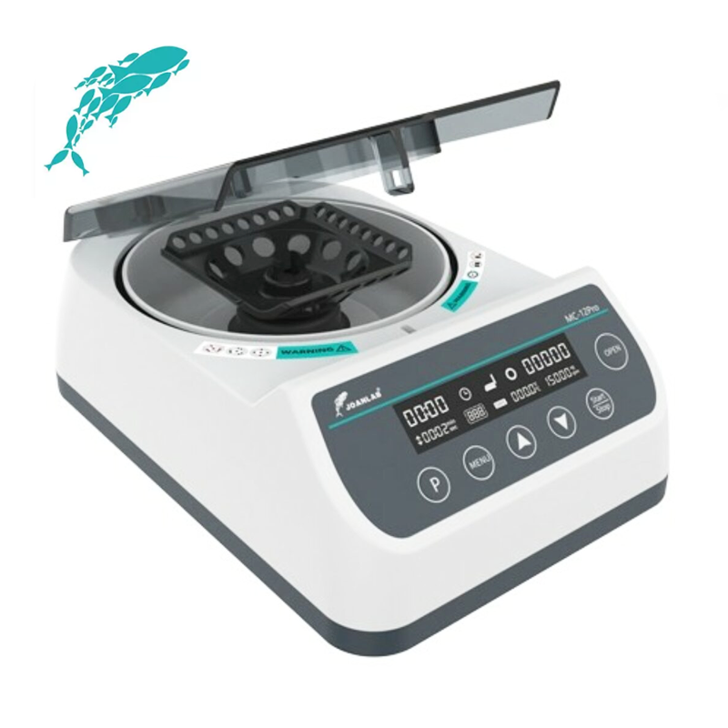 dsf-3.png
